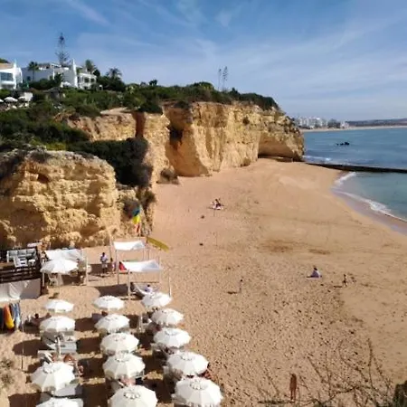 Casa Palmeira Hébergement de vacances